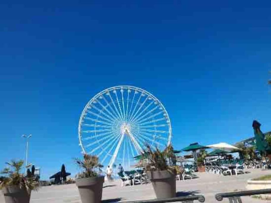 Apartment Prado David - Stade Velodrome - Parc Chanot - Luxury By The Sea